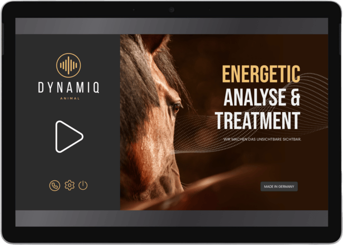 dynamiq animal startscreen